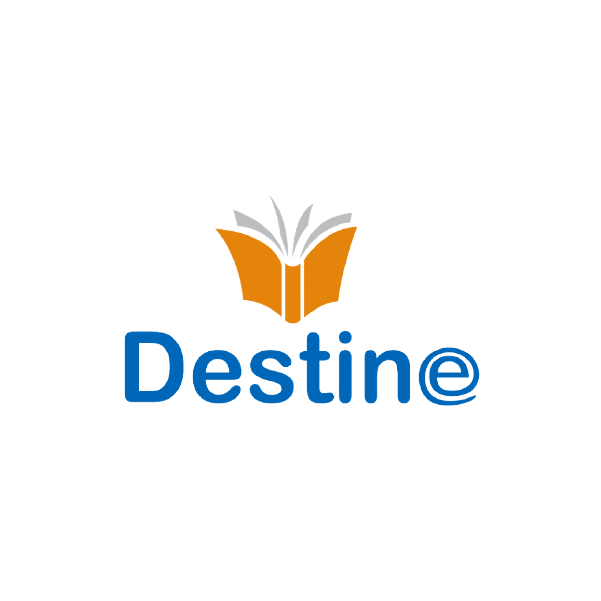Read more about the article DESTINE