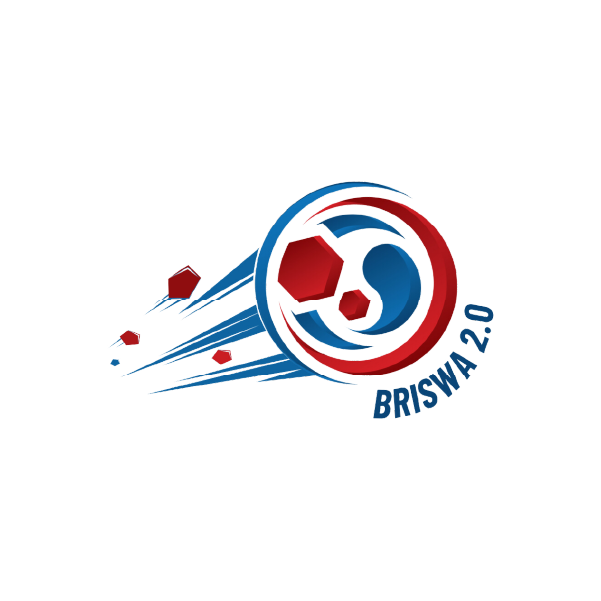 Read more about the article BRISWA 2.0